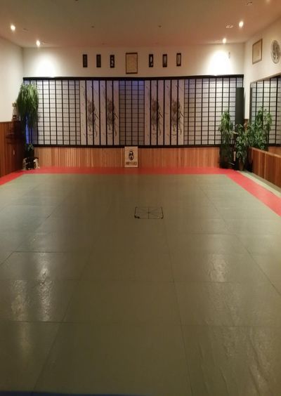 Ryu on sale kyu kempo